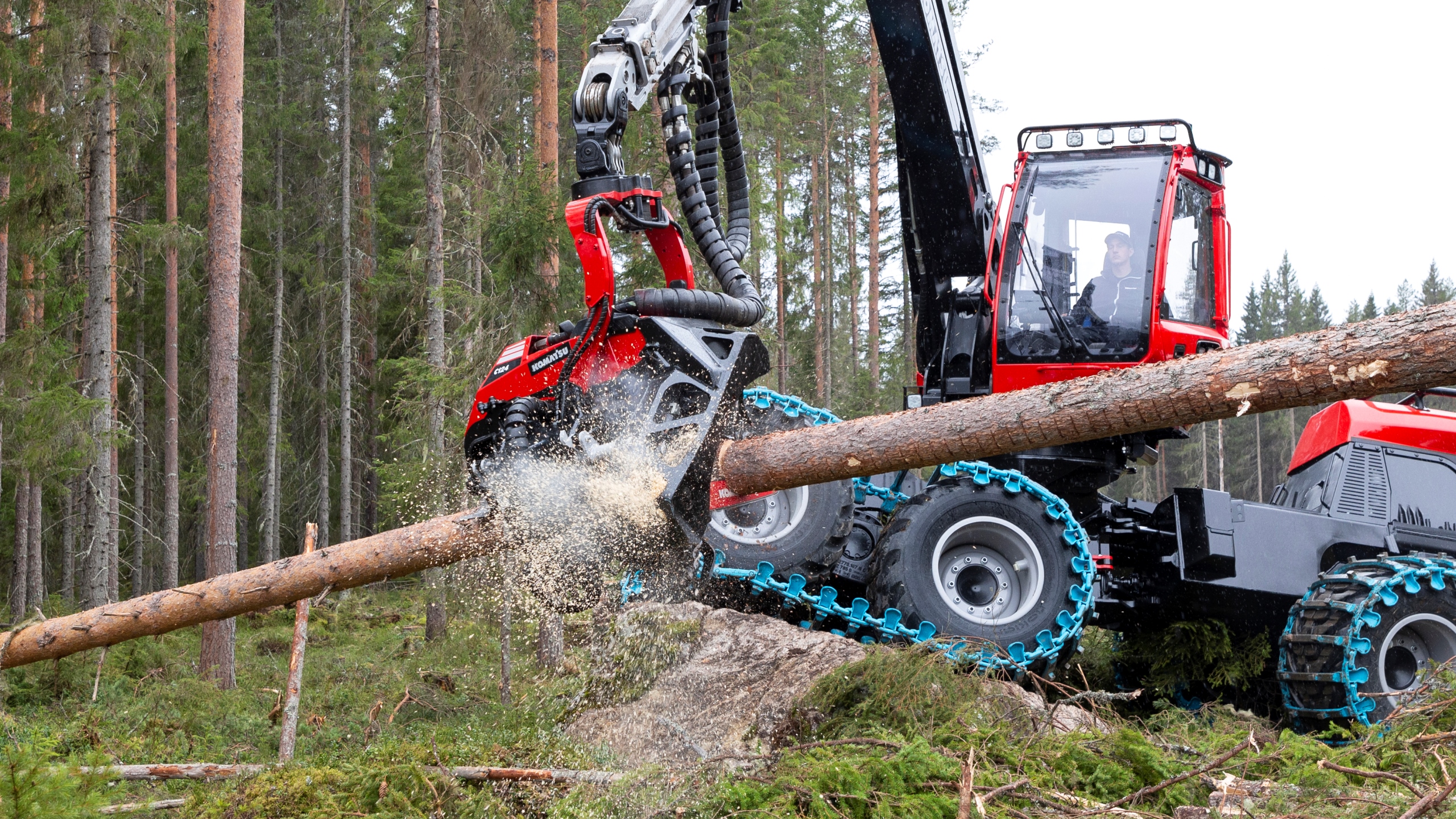 Kotimaiset Metsäkuuset